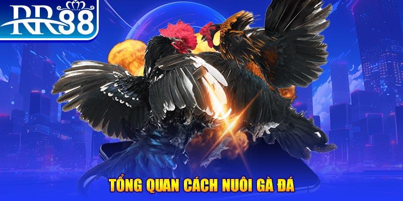 98vin game nổ hũ rút tiền mặt là gì
