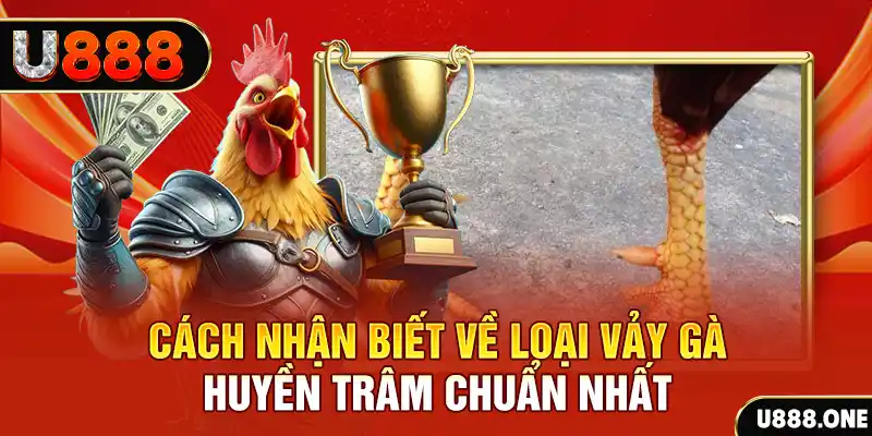 98vin đăng nhập nổ hũ số 1