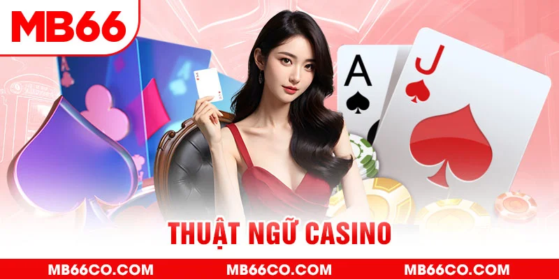 98vin gà chọi c1 mới nhất