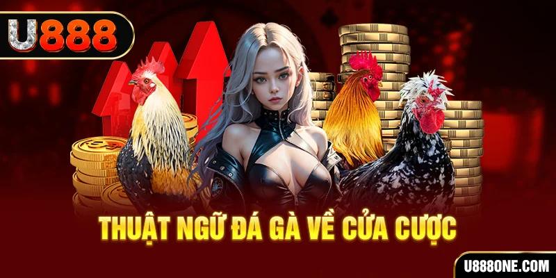 98vin hơn cả bạn bè