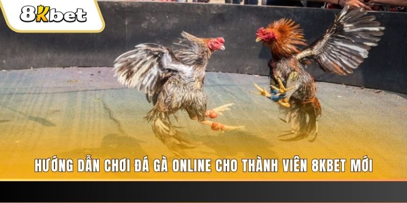 98vin JILI Game Bài 3d