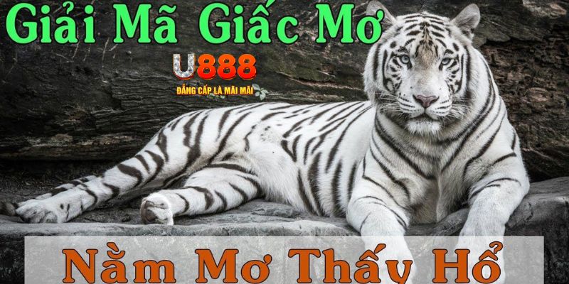 98vin xổ số miền bắc xổ số miền bắc