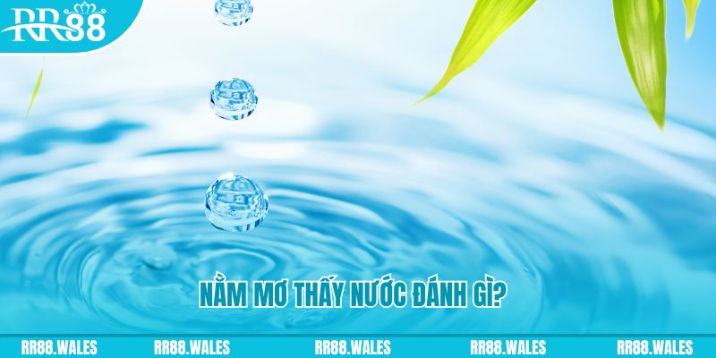 98vin TCG Xổ Số