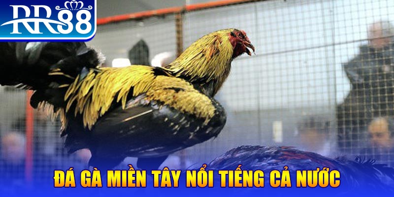 98vin xổ số đại phát