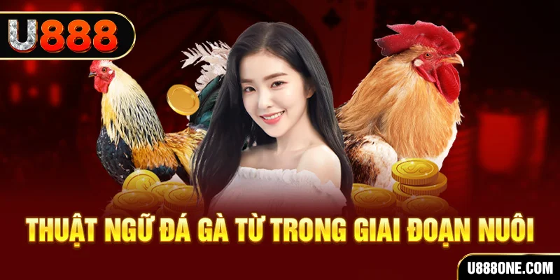 98vin xổ số miền bắc 90 ngày