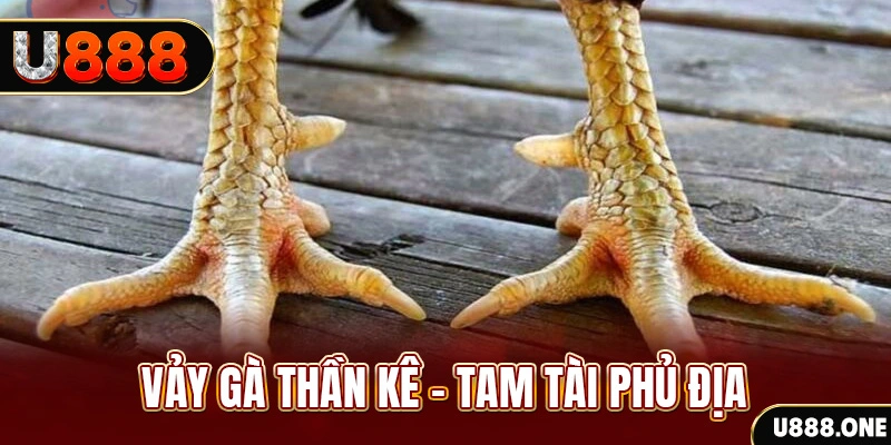 98vin xổ số miền trung thứ hai hàng tuần