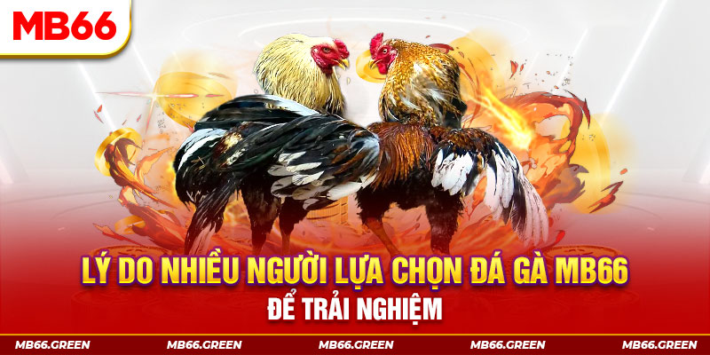 98vin đăng nhập liêng trực tiếp