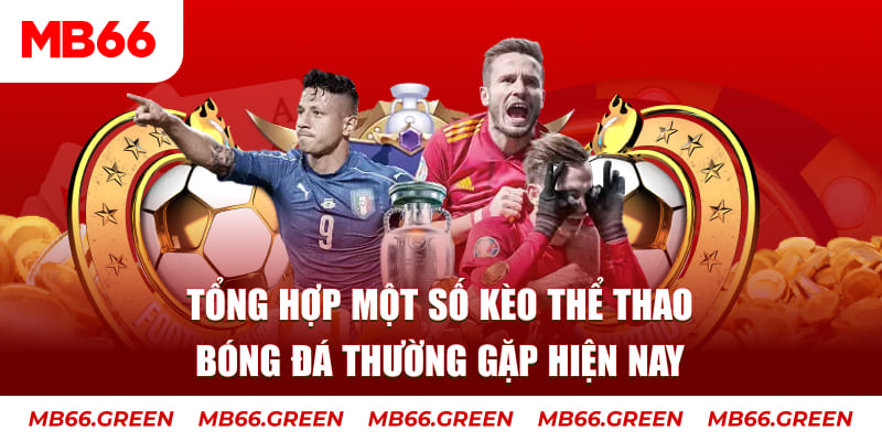 98vin người chia bài trong casino gọi là gì