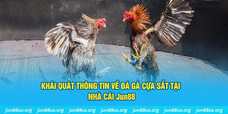 98vin xổ số miền bắc thứ bảy hàng tuần