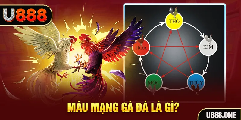 98vin xổ số miền trung thứ tư hàng tuần