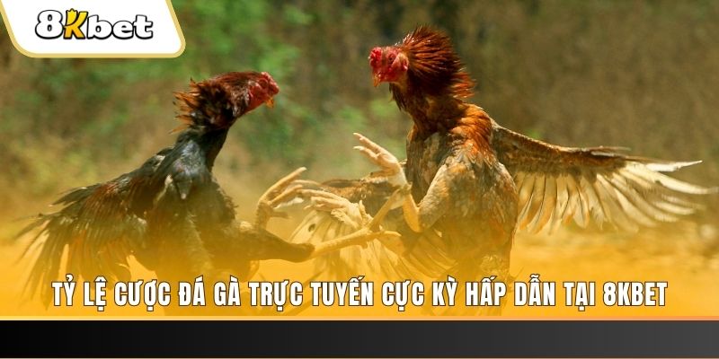 98vin đăng nhập nổ hũ trực tuyến