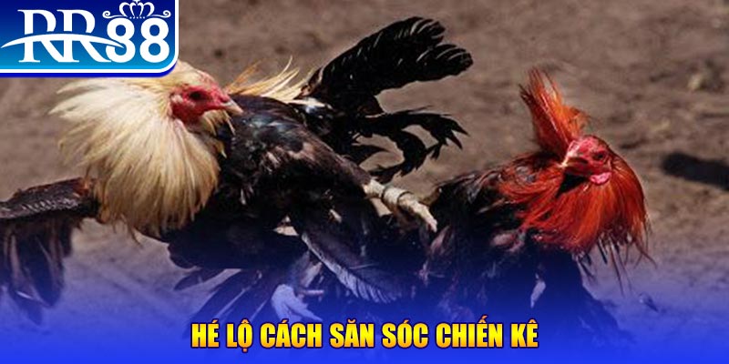 98vin xổ số miền trung thứ tư
