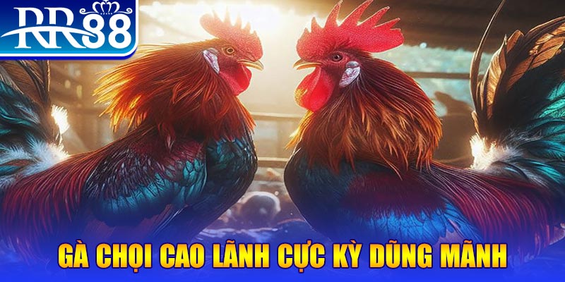 98vin HB Điện Tử